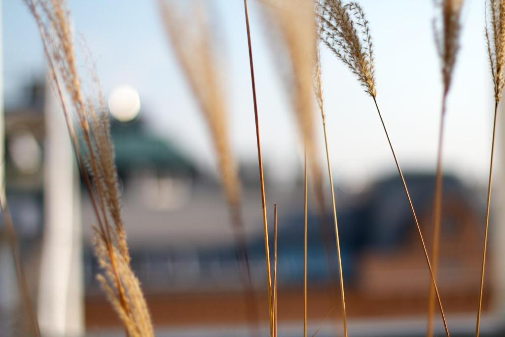My Home In Vienna- Smart Apartments - Leopoldstadt エクステリア 写真
